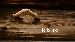 kibiso_13-300x168
